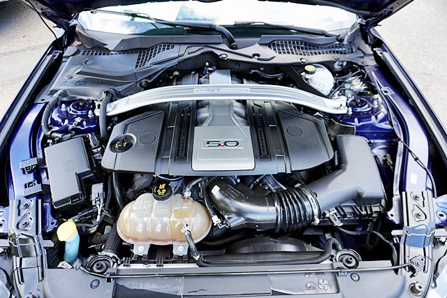 Used 2019 Ford Mustang GT Premium w/ Equipment Group 401A RWD image 16