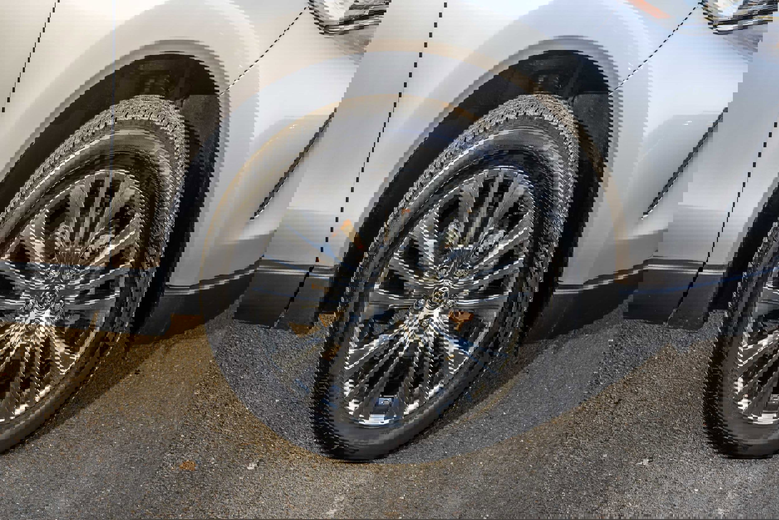 Certified 2024 Toyota Venza Limited image 7