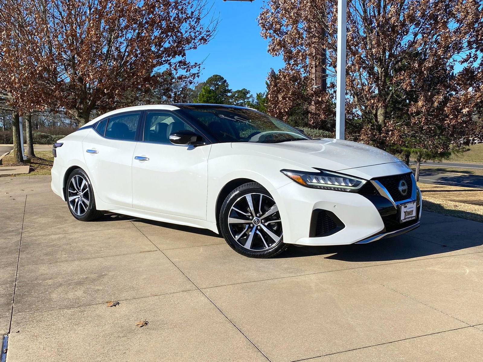 Used 2023 Nissan Maxima SL image 1