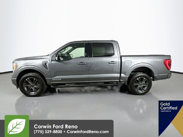 Certified 2023 Ford F150 XLT w/ Equipment Group 302A High AWD/4WD image 5