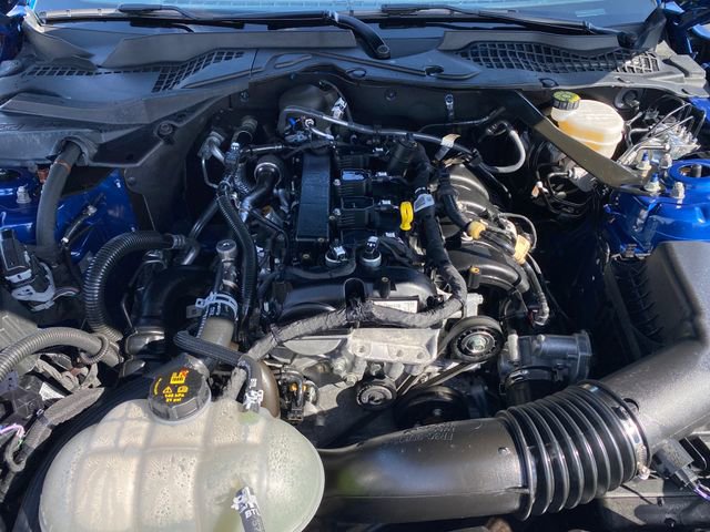 Used 2022 Ford Mustang Premium image 16