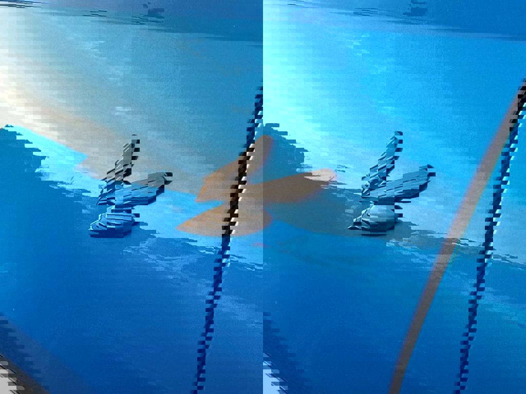 Certified 2024 Dodge Hornet R/T AWD/4WD image 19