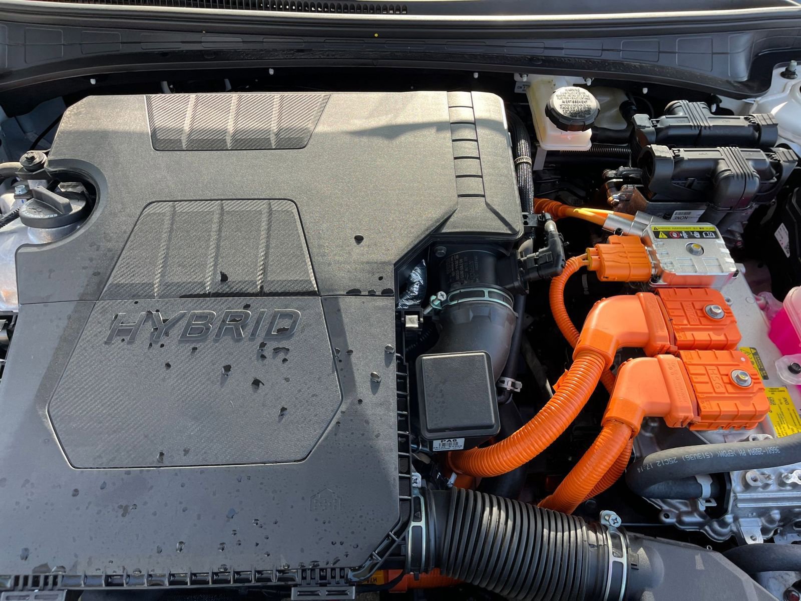 Used 2025 Hyundai Elantra Limited image 33