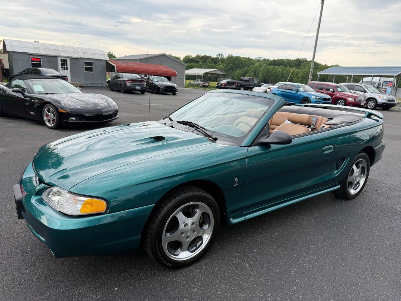 Used 1997 Ford Mustang Cobra RWD image 12