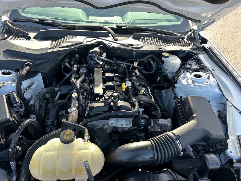 Used 2021 Ford Mustang Coupe w/ Equipment Group 101A RWD image 27