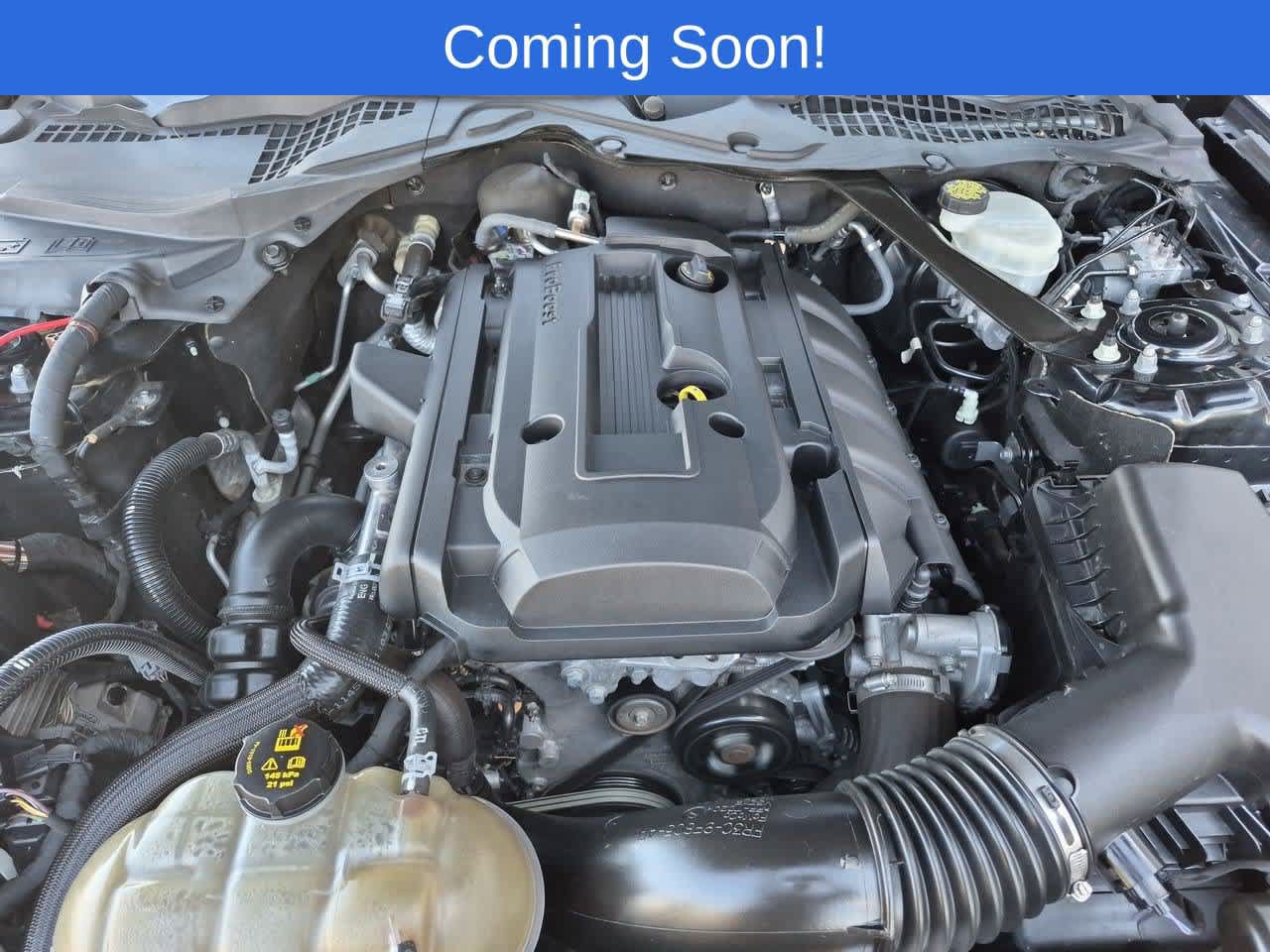 Used 2017 Ford Mustang Premium w/ Pony Package RWD image 14