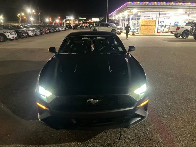 Used 2019 Ford Mustang Premium image 2