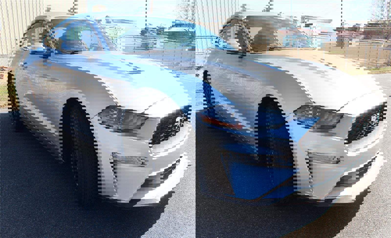 Used 2019 Ford Mustang Premium image 13