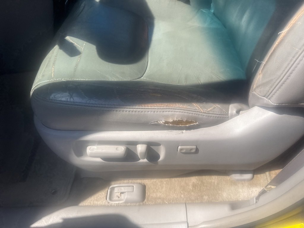 Used 2008 Toyota Sienna XLE image 13