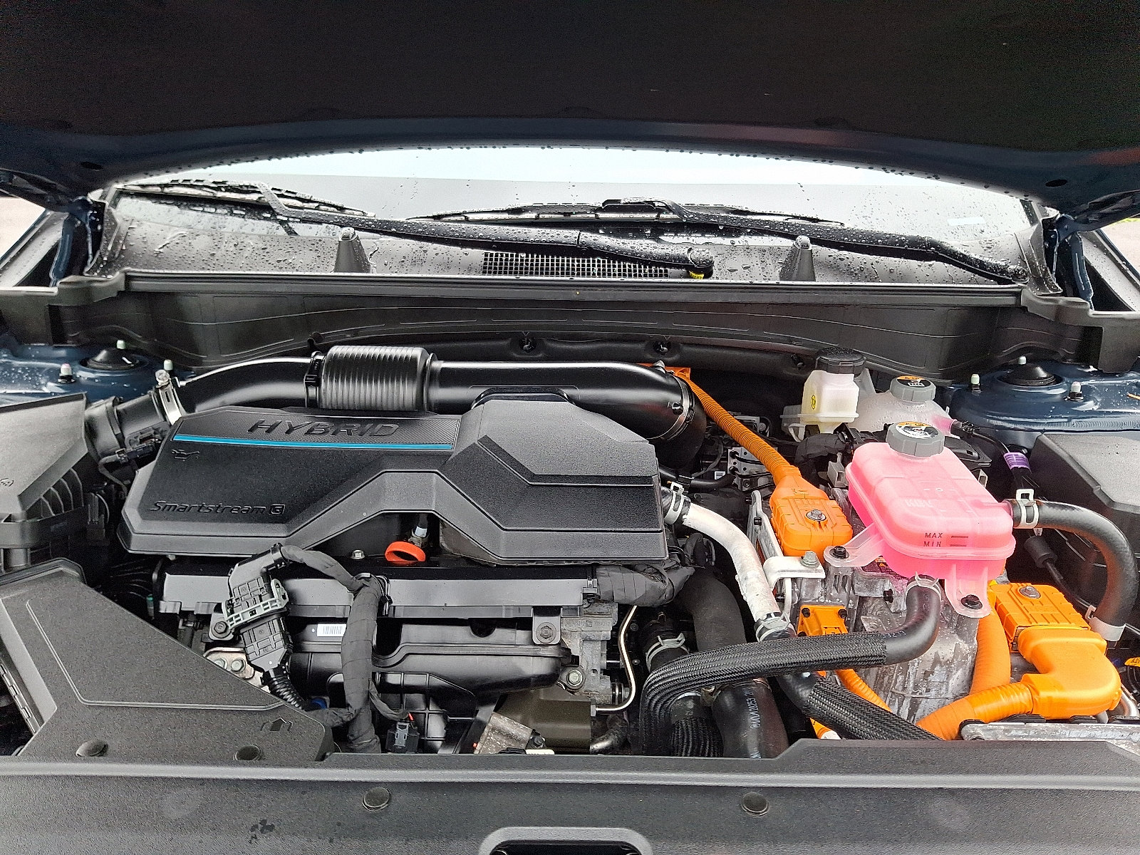 Used 2024 Kia Sportage EX w/ EX Premium Package image 25