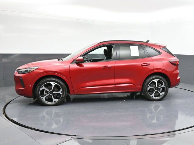 Used 2024 Ford Escape ST-Line Elite w/ Premium Technology Package image 5
