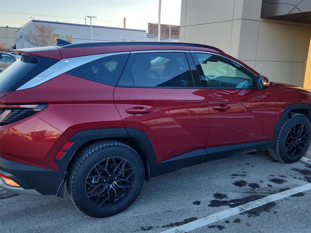 Used 2025 Hyundai Tucson Limited image 3