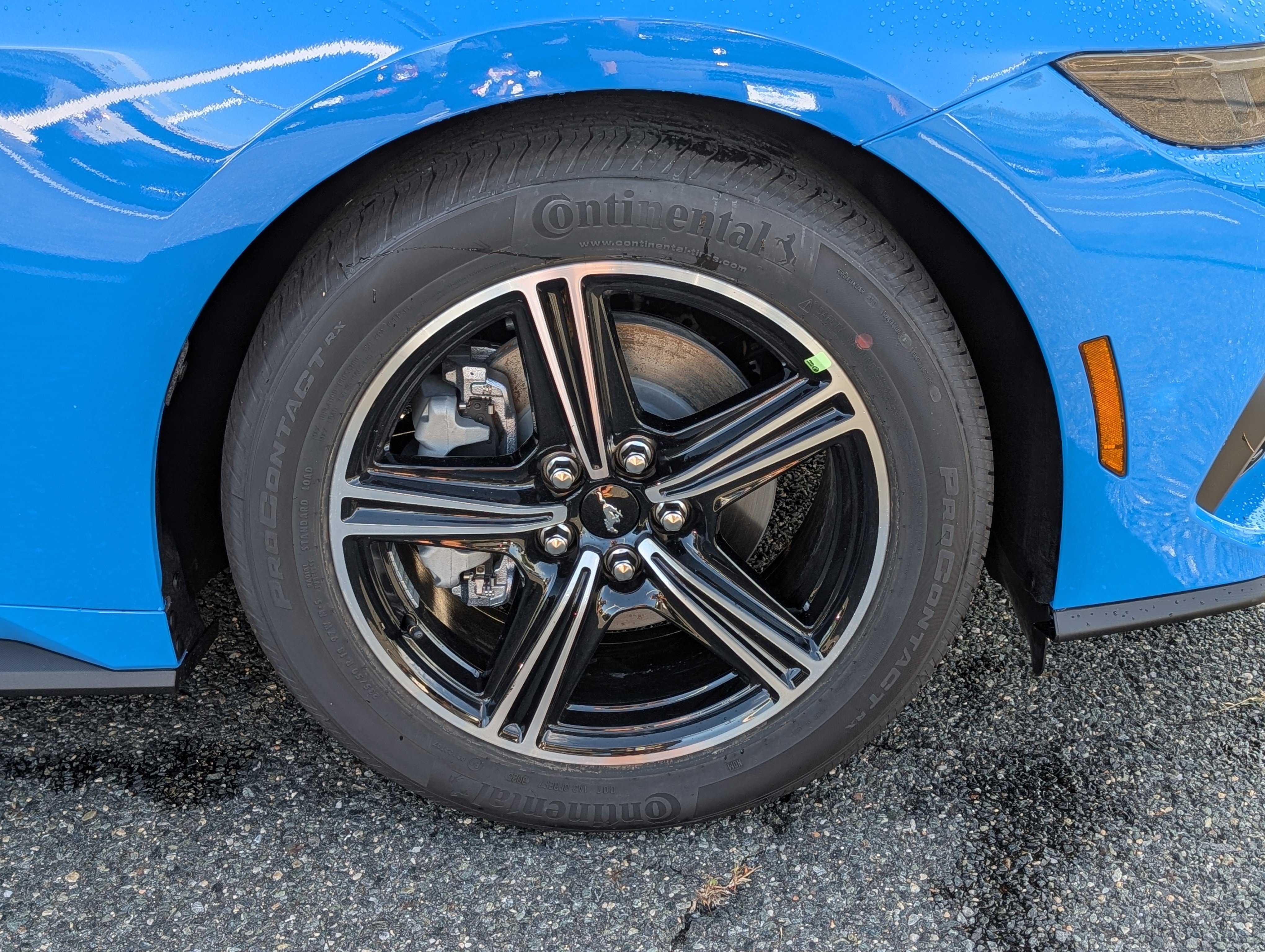 New 2025 Ford Mustang Coupe image 5