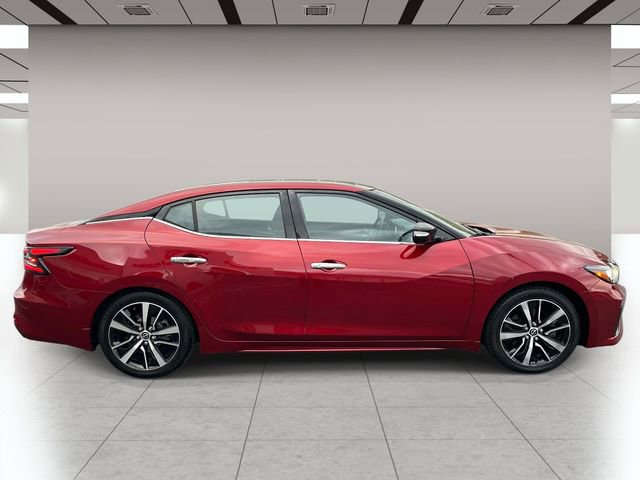 Used 2023 Nissan Maxima SL image 2