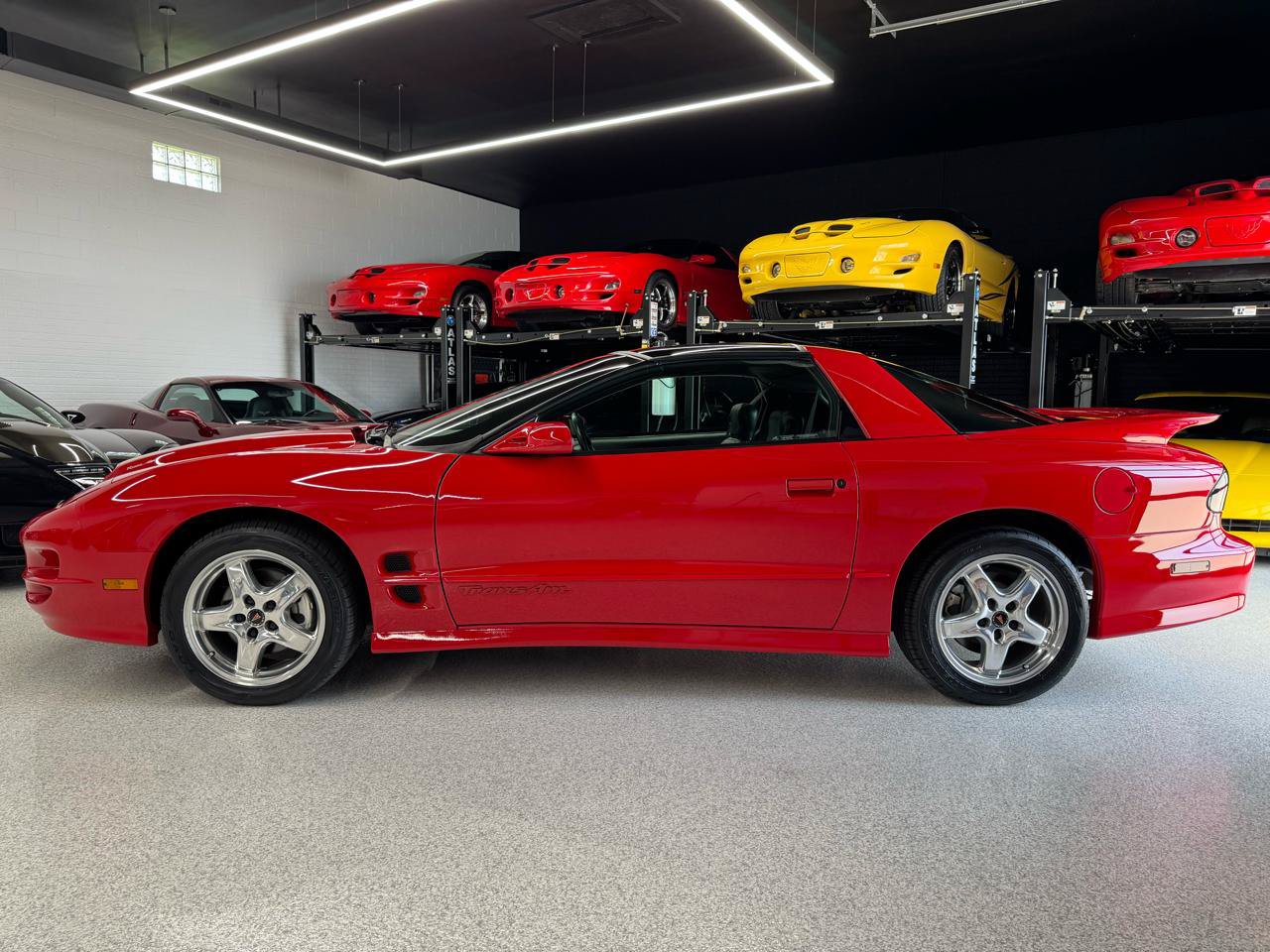 Used 2002 Pontiac Firebird Trans Am RWD image 7