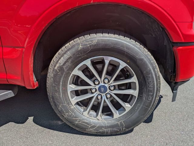 Used 2019 Ford F150 XLT w/ Equipment Group 302A Luxury AWD/4WD image 11