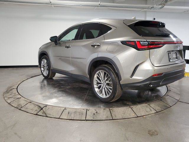 Certified 2023 Lexus NX 350h AWD image 6