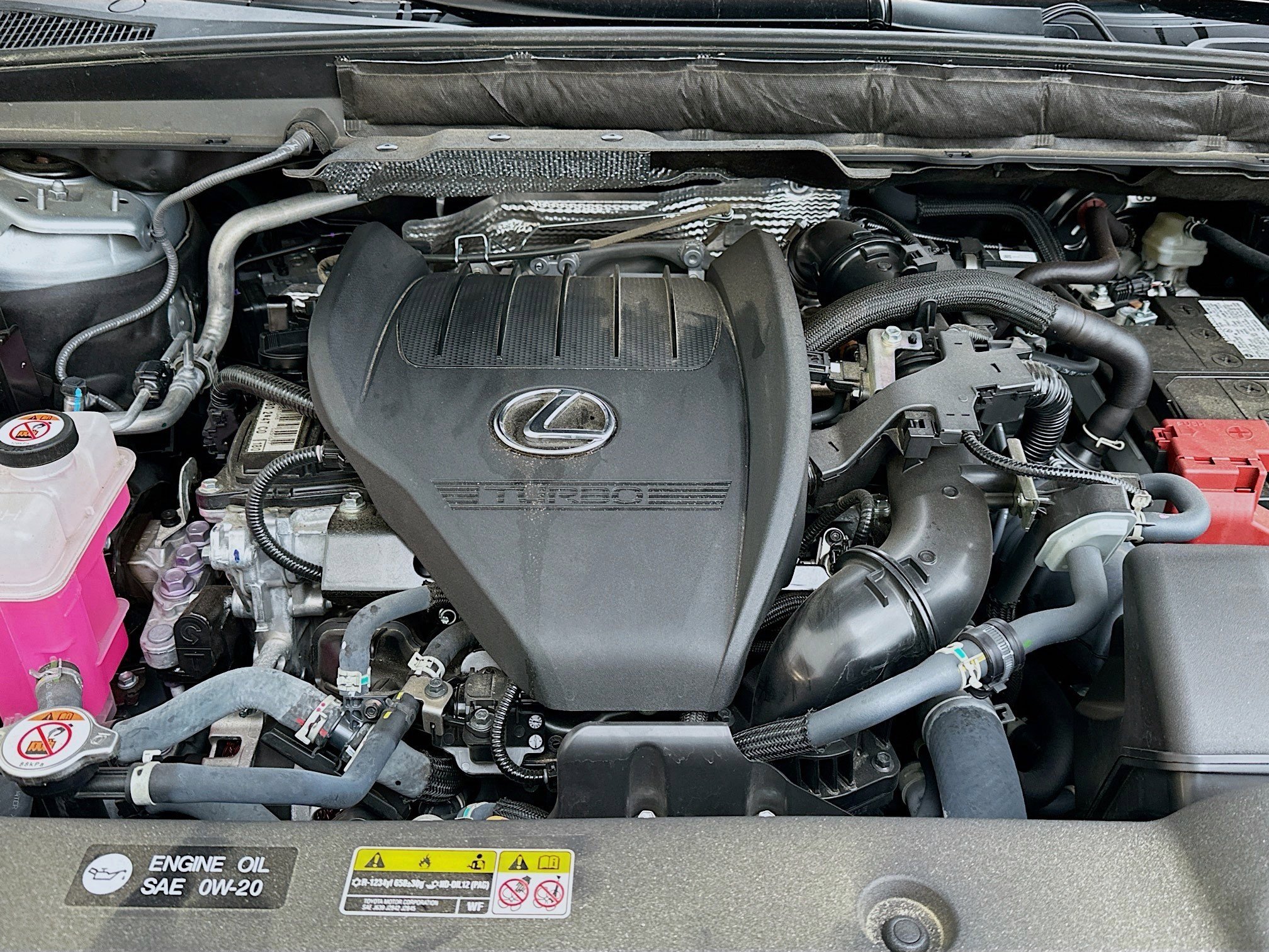 Used 2024 Lexus RX 350 Premium Plus w/ Convenience Package FWD image 33