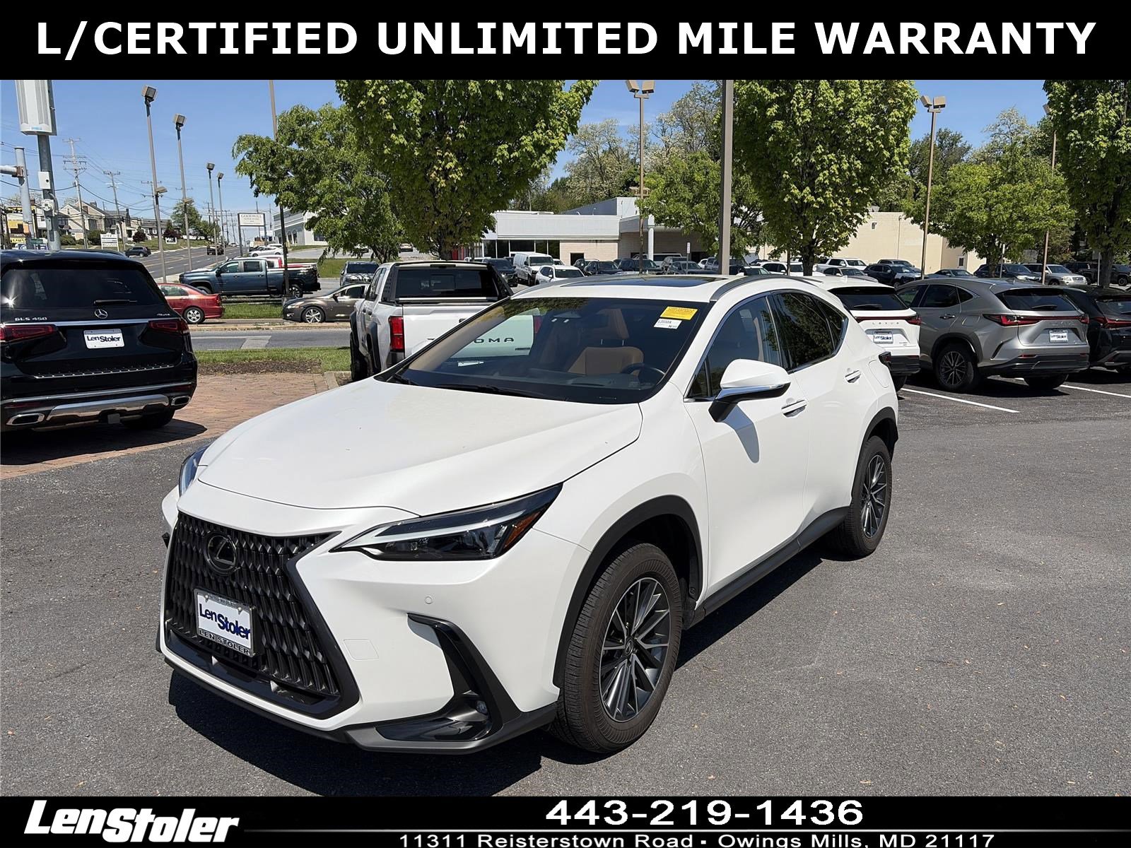 Used 2024 Lexus NX 350h AWD