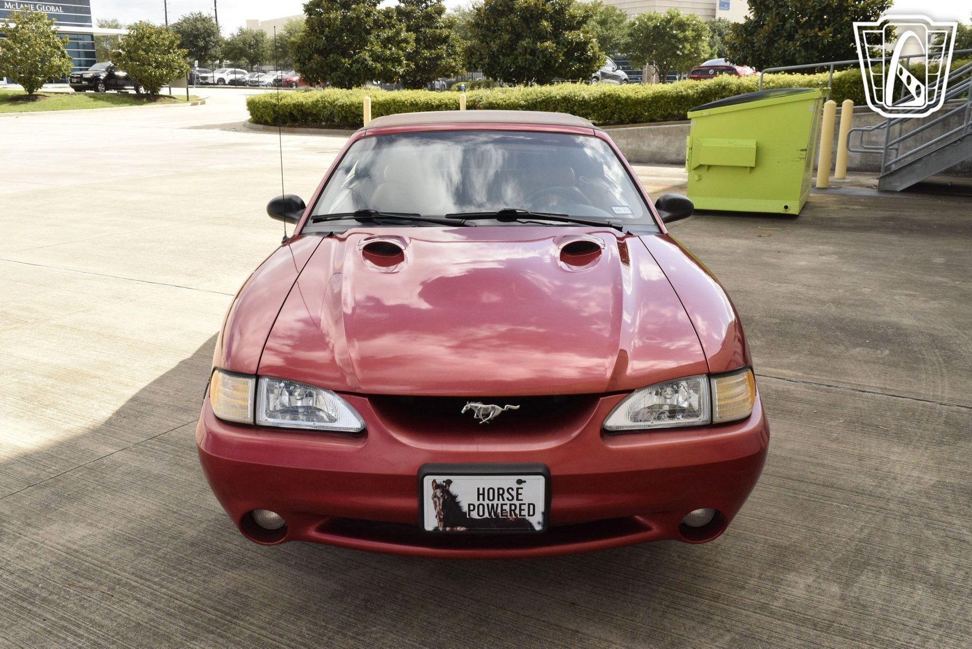 Used 1998 Ford Mustang Cobra RWD image 32