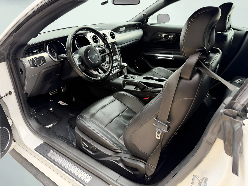 Used 2019 Ford Mustang Premium RWD image 17