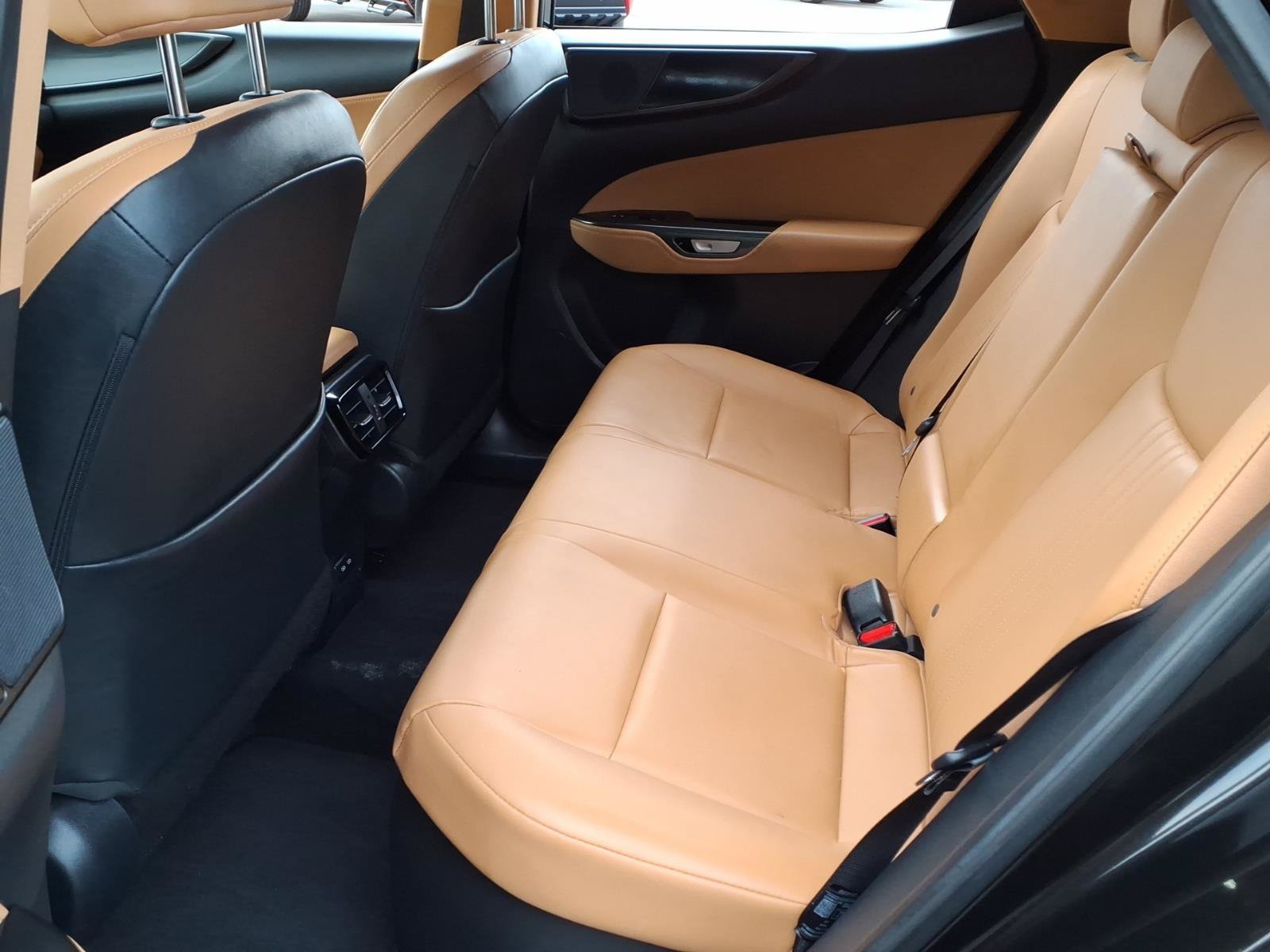 Used 2025 Lexus NX 350h AWD image 10