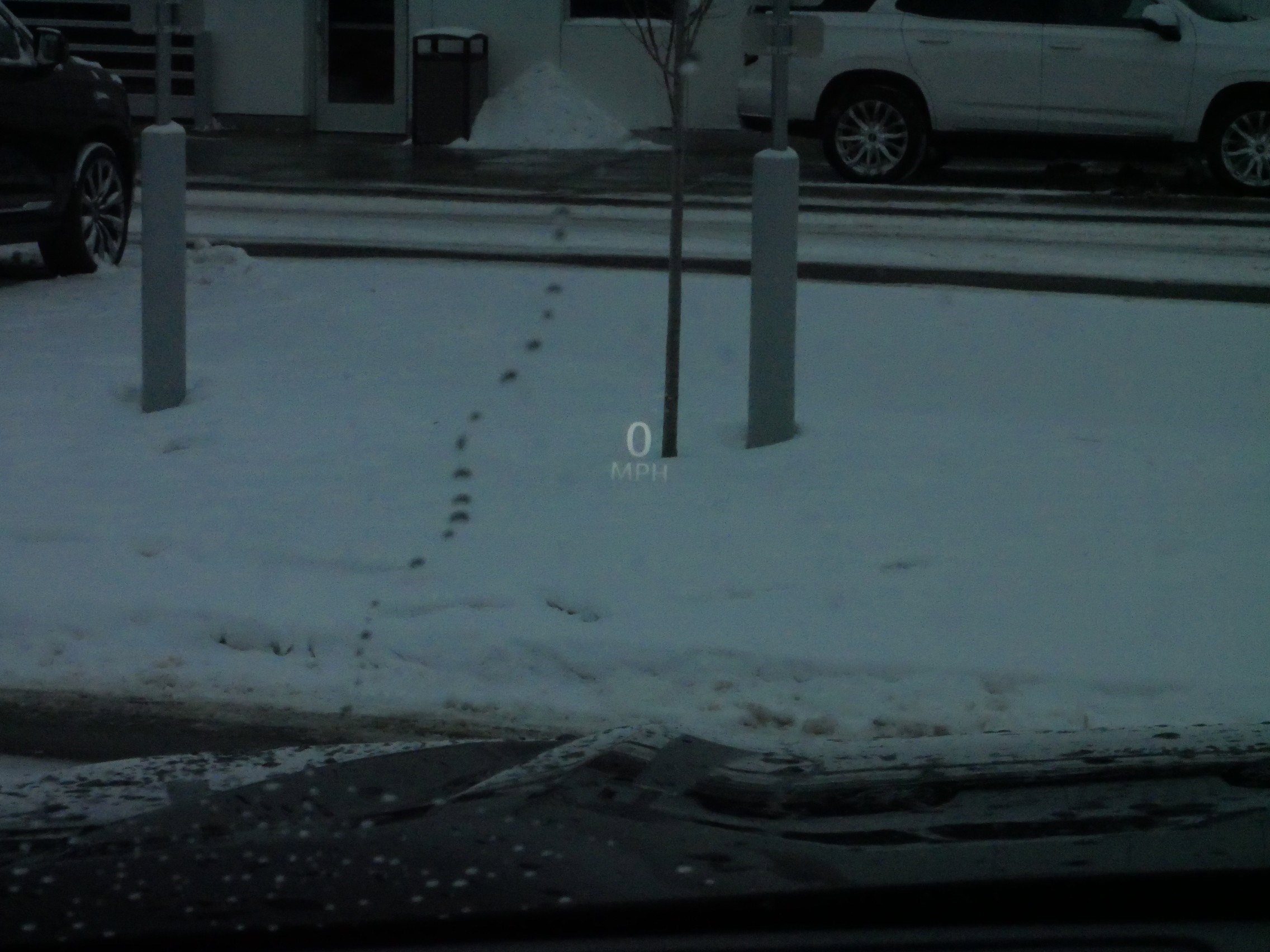 Certified 2023 Cadillac Escalade ESV Sport Platinum image 27