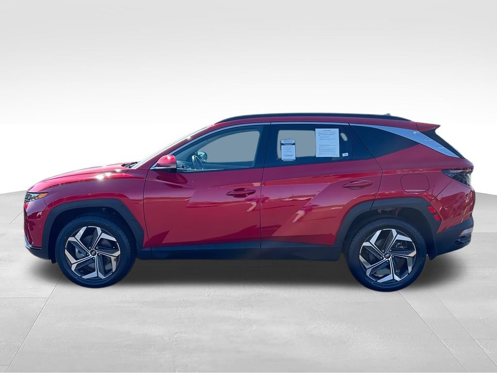 Used 2023 Hyundai Tucson Limited AWD/4WD image 6