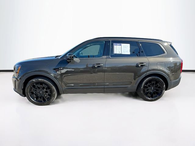Used 2022 Kia Telluride SX w/ SX Prestige Package image 4