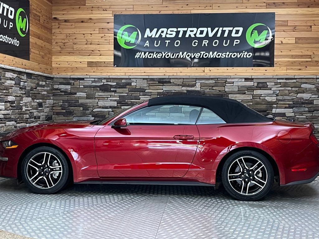 Used 2019 Ford Mustang Convertible w/ Equipment Group 101A RWD image 11