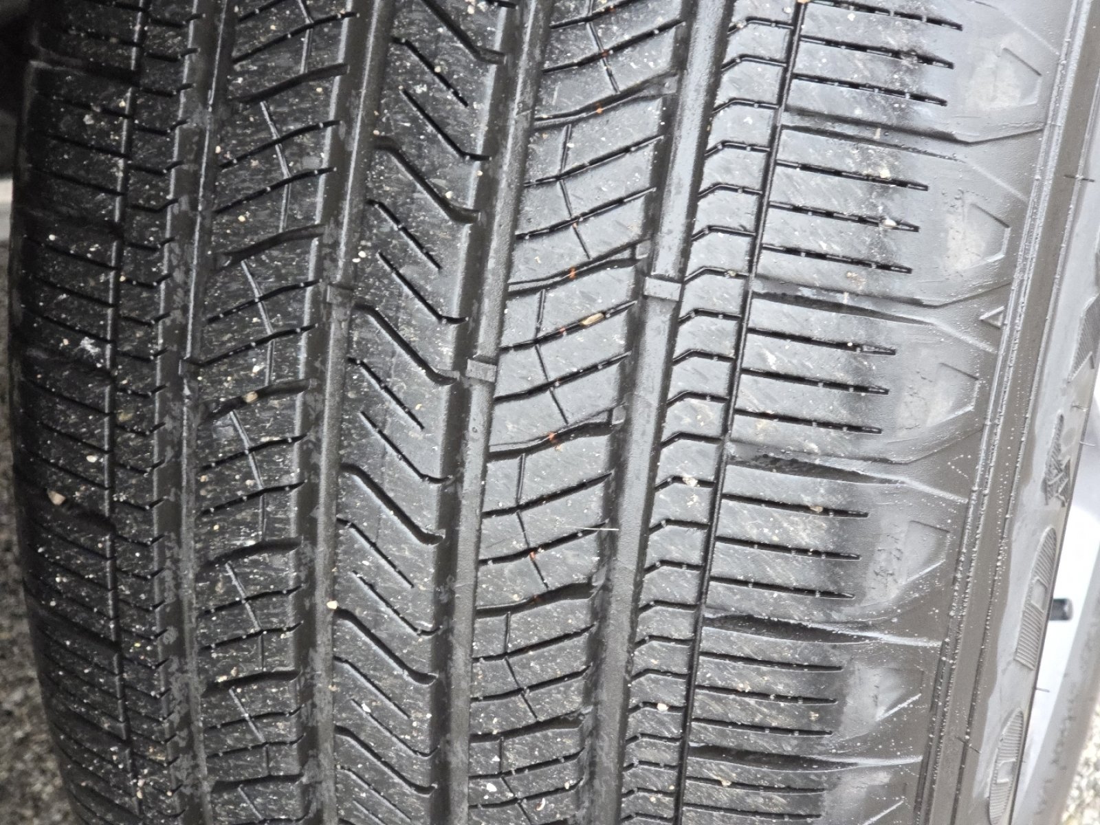 Used 2025 Honda Pilot EX-L image 10