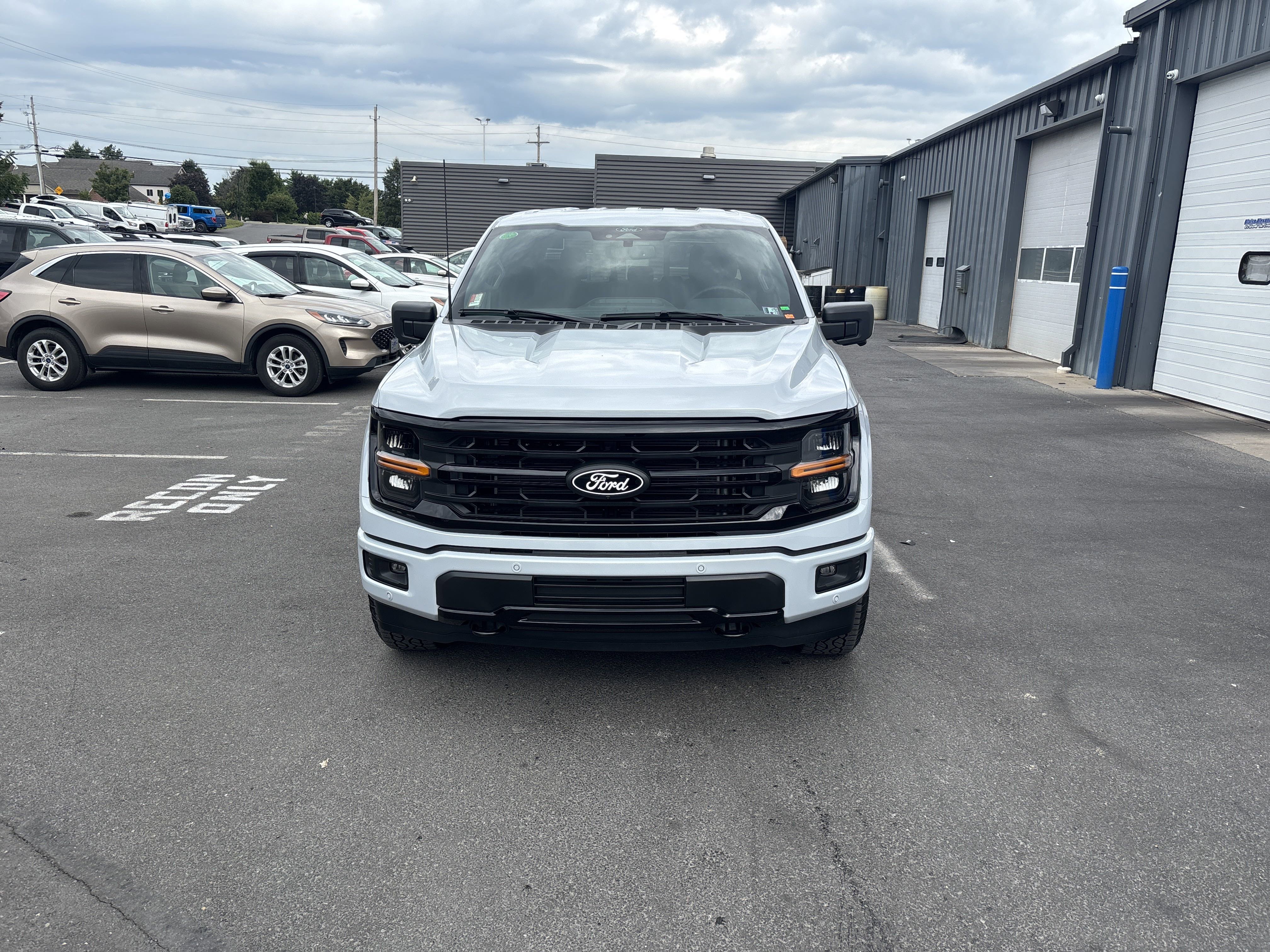 New 2025 Ford F150 XLT w/ Equipment Group 302A MID image 9