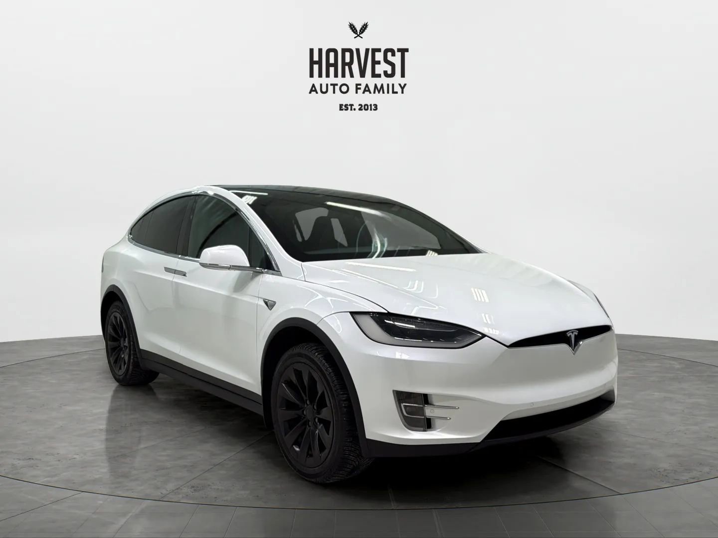 Used 2019 Tesla Model X 100D image 10