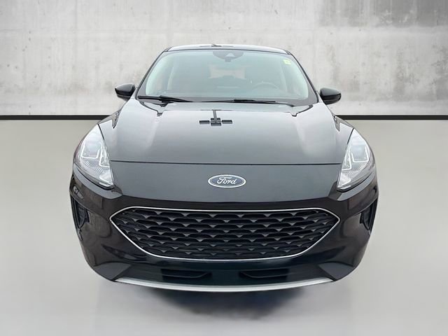 Used 2020 Ford Escape SE image 2
