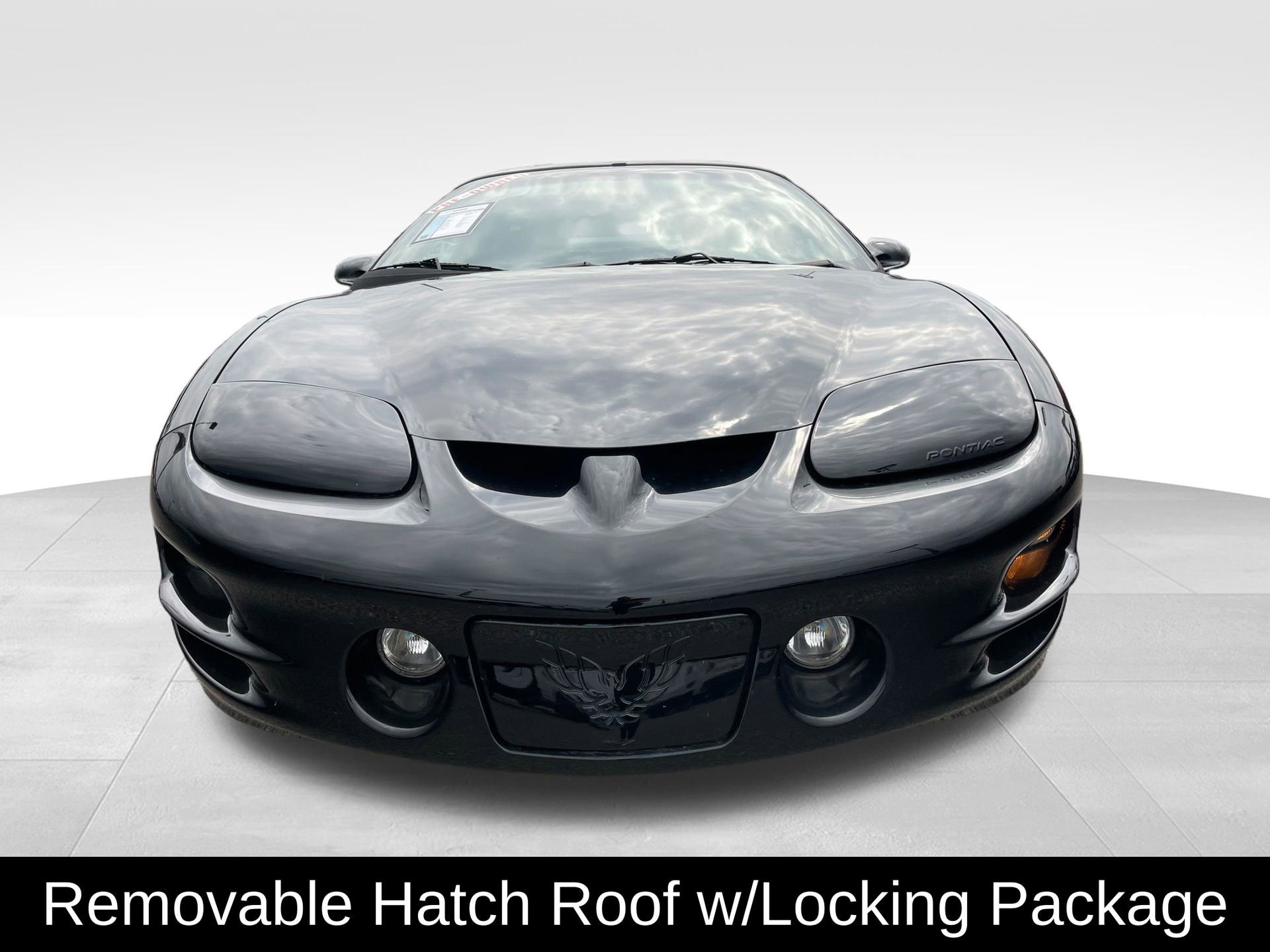 Used 2002 Pontiac Firebird Trans Am w/ NHRA Special Edition Pkg image 3