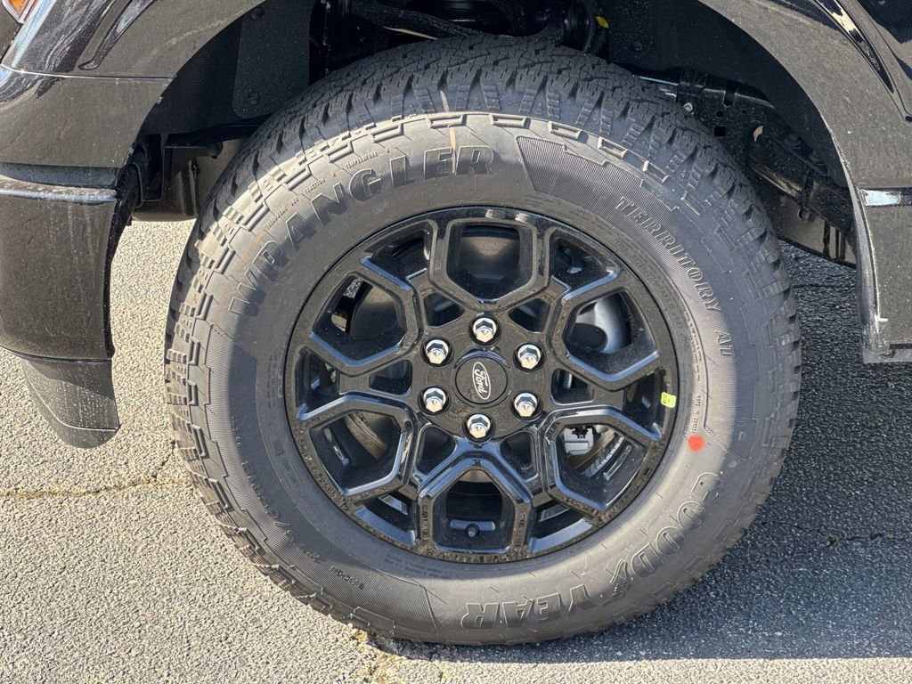 New 2026 Ford F150 XLT w/ Equipment Group 302A MID image 11