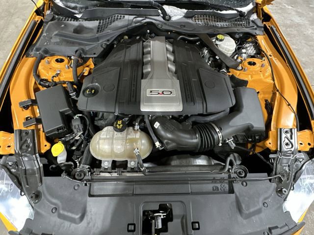 Used 2019 Ford Mustang GT Premium w/ Equipment Group 401A image 21