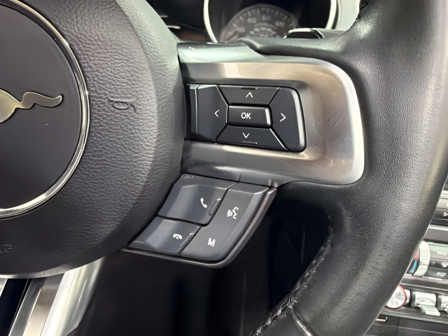 Used 2019 Ford Mustang Premium RWD image 21