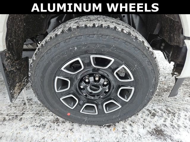 New 2026 Ford F250 Platinum image 10