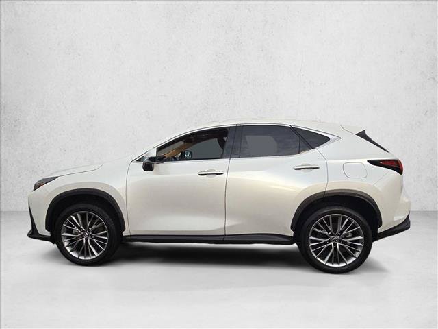 Used 2025 Lexus NX 350 AWD w/ Cold Area Package image 9