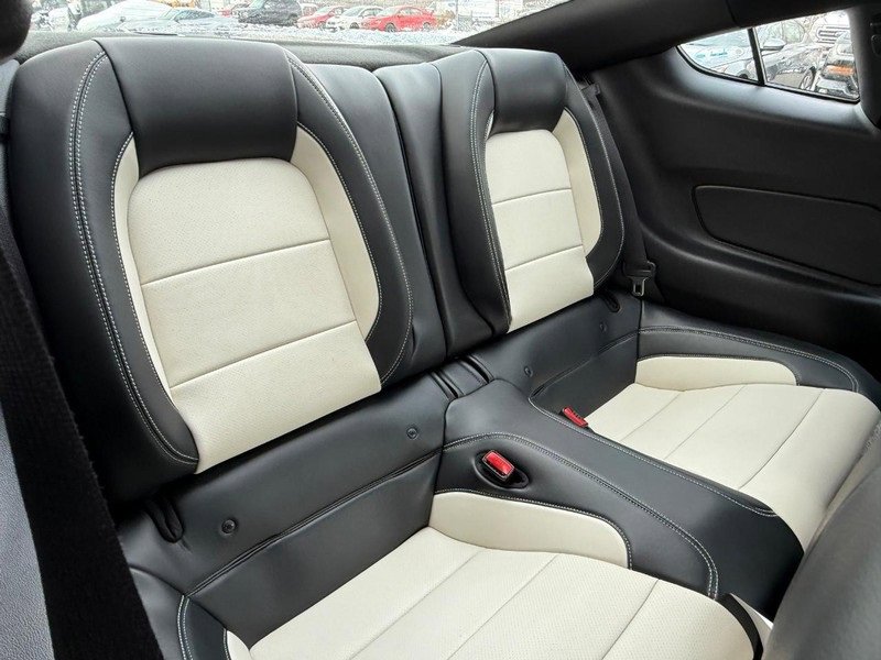 Used 2015 Ford Mustang 50 Years image 8