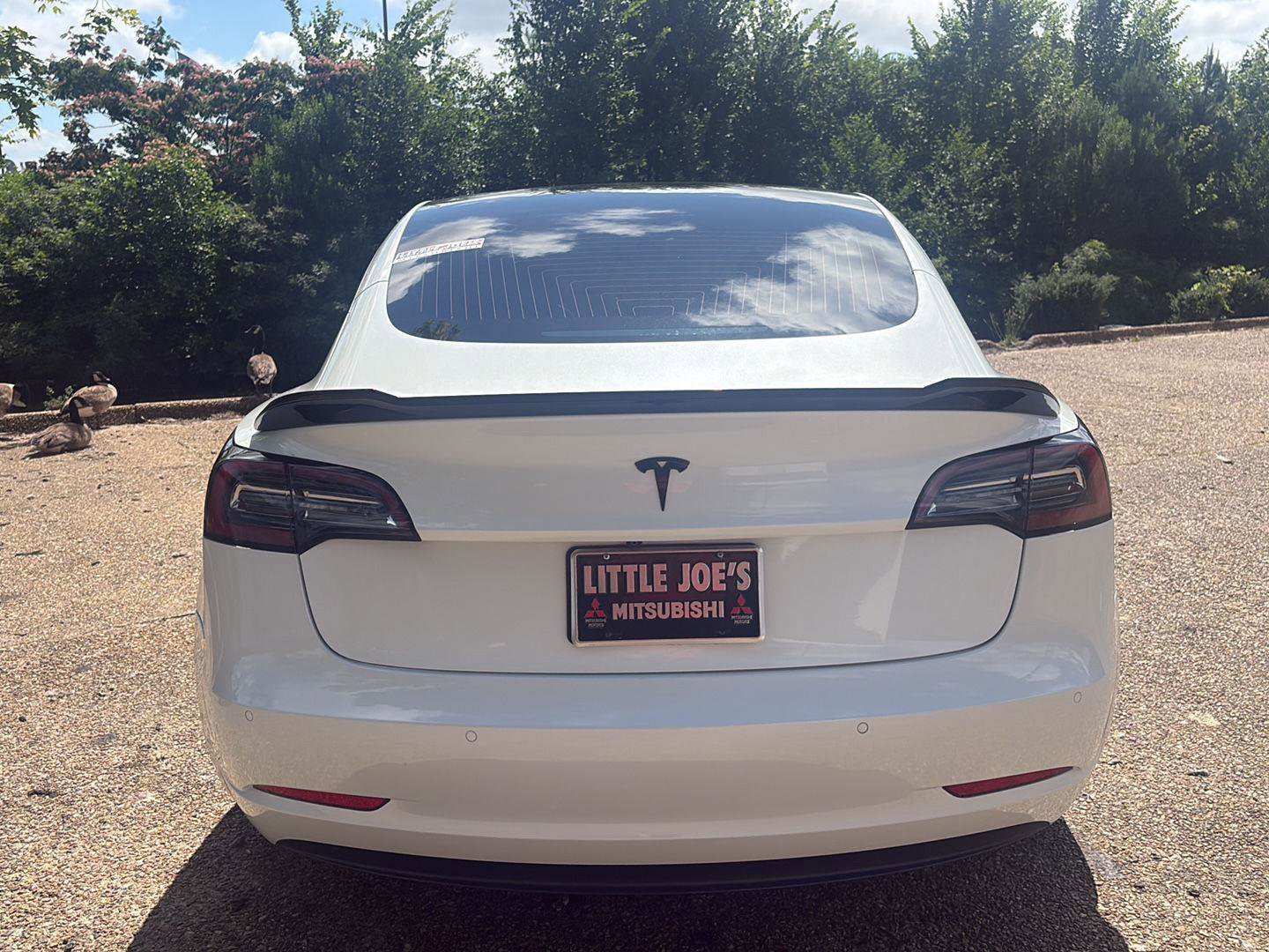 Used 2019 Tesla Model 3 Standard Range RWD image 6