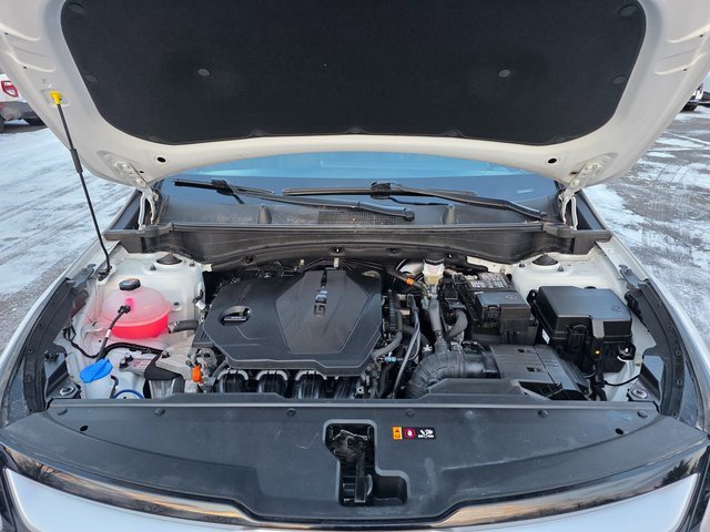 Certified 2023 Kia Sportage EX image 13