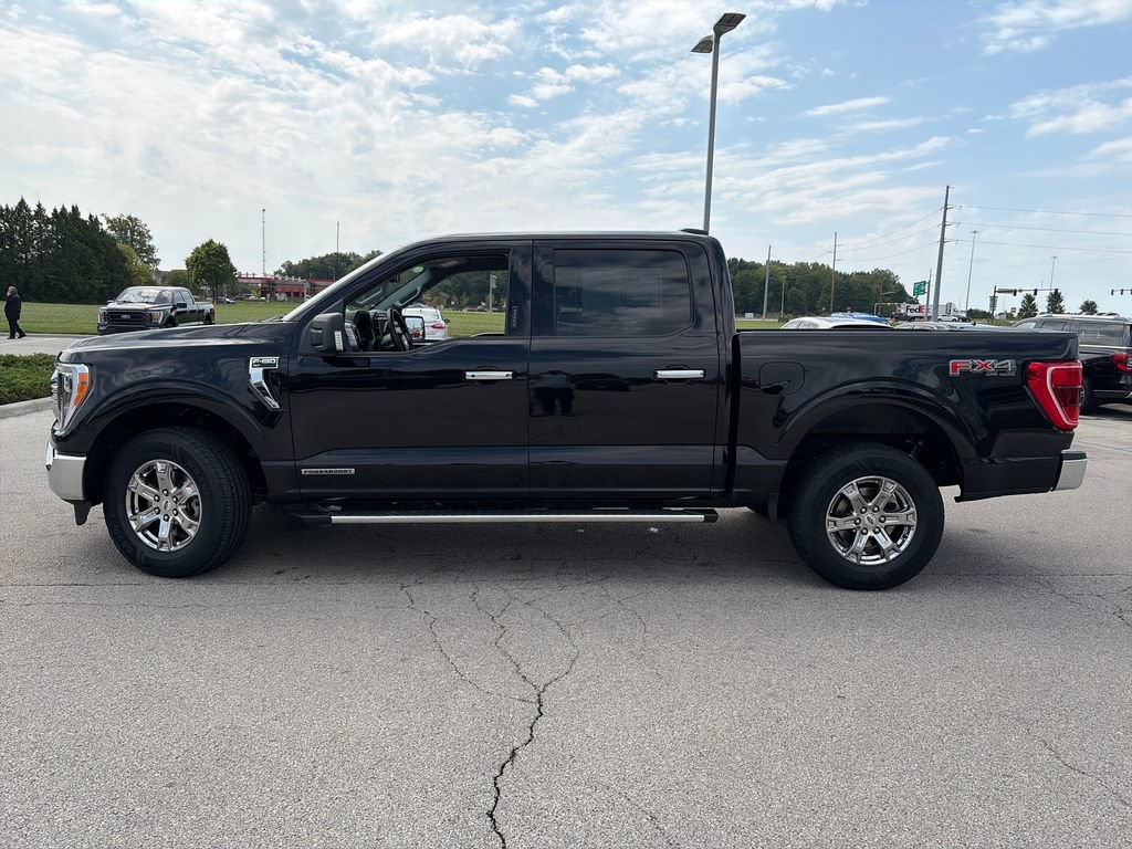 Used 2023 Ford F150 XLT w/ Equipment Group 302A High AWD/4WD image 4