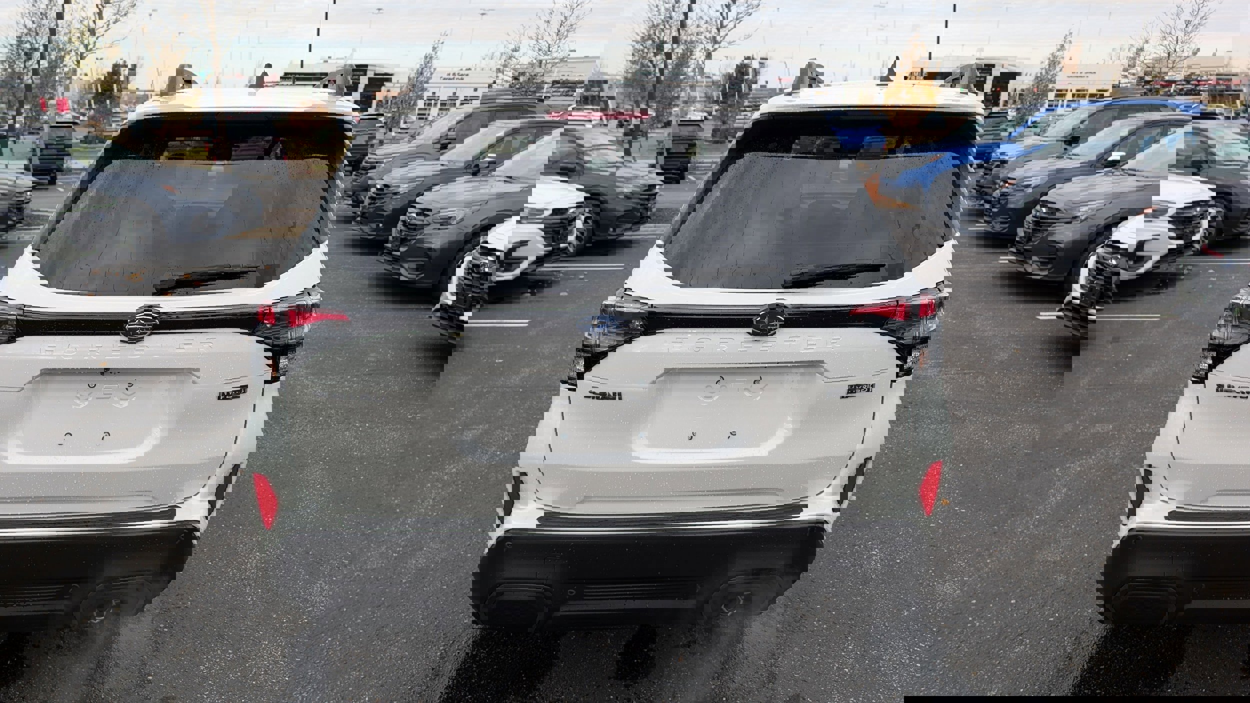 New 2025 Subaru Forester Limited image 3