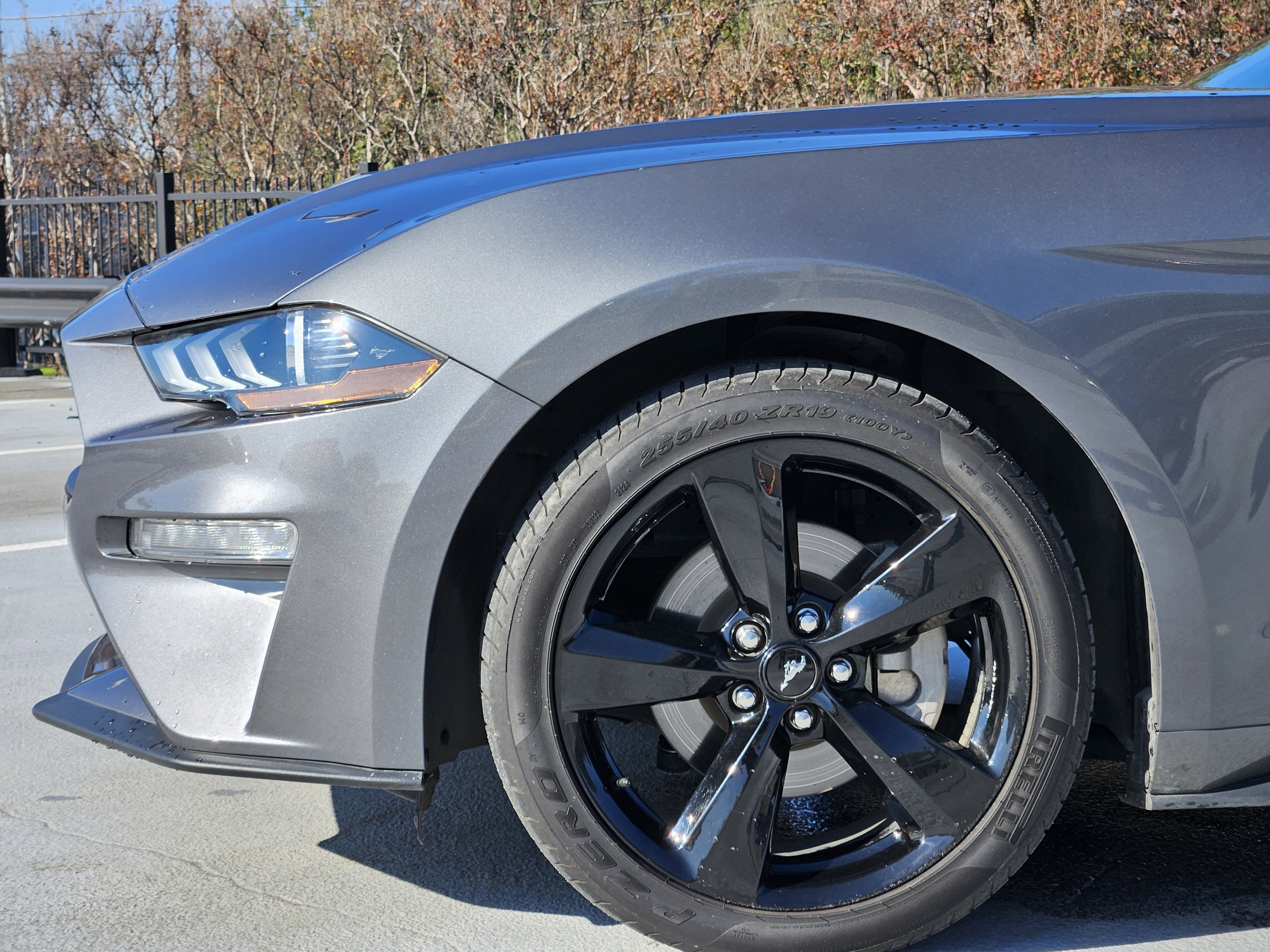 Used 2023 Ford Mustang EcoBoost w/ Equipment Group 101A image 12