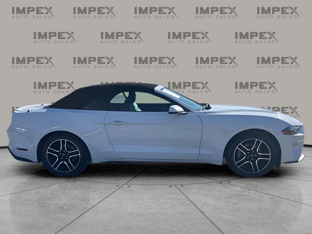 Used 2020 Ford Mustang Premium image 6