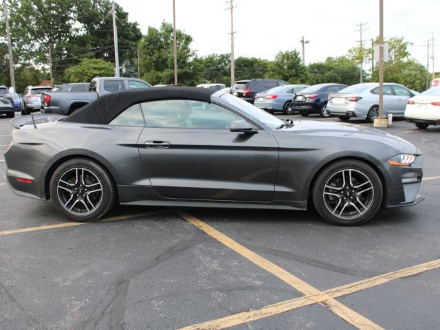 Used 2019 Ford Mustang Premium RWD image 5