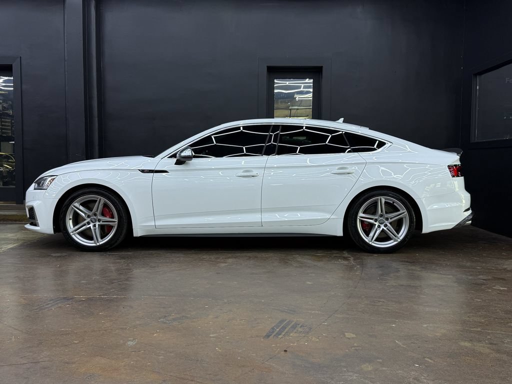 Used 2019 Audi S5 Premium Plus w/ Premium Plus AWD/4WD image 5