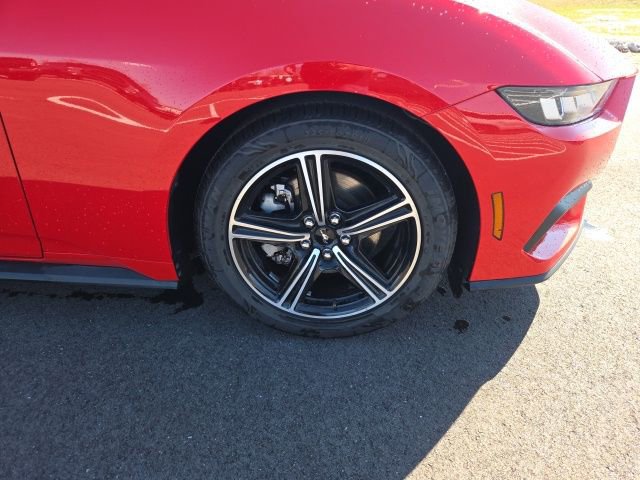 Used 2024 Ford Mustang Premium image 4